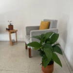 planta